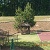 Children's Playground